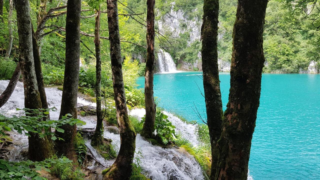 B&B Plitvica Villa Prica Plitvická jezera Exteriér fotografie
