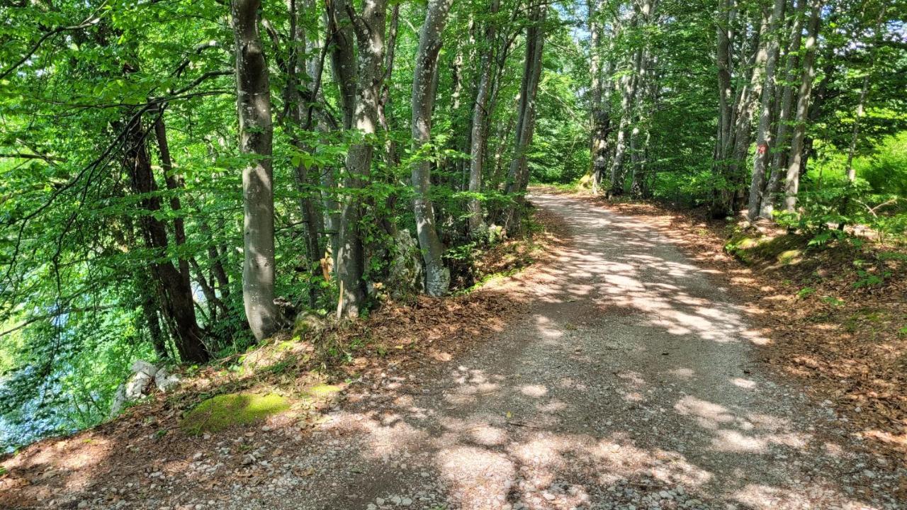 B&B Plitvica Villa Prica Plitvická jezera Exteriér fotografie