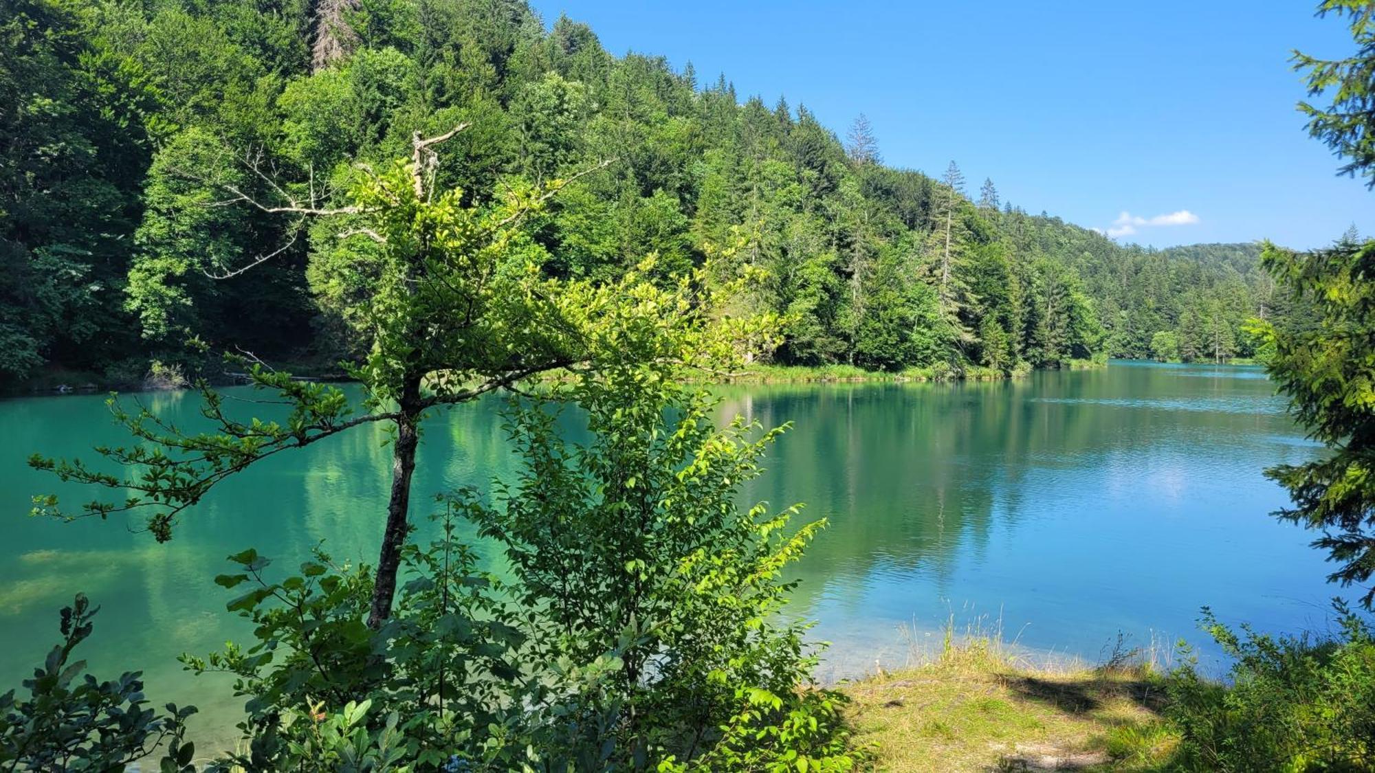 B&B Plitvica Villa Prica Plitvická jezera Exteriér fotografie
